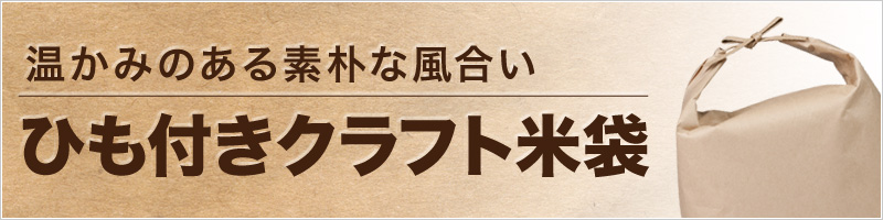 アサヒパック】米袋 ひも付クラフト 無地（保水加工） 1kg用×10枚