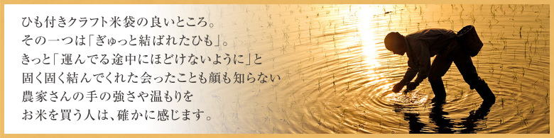 アサヒパックバナー2